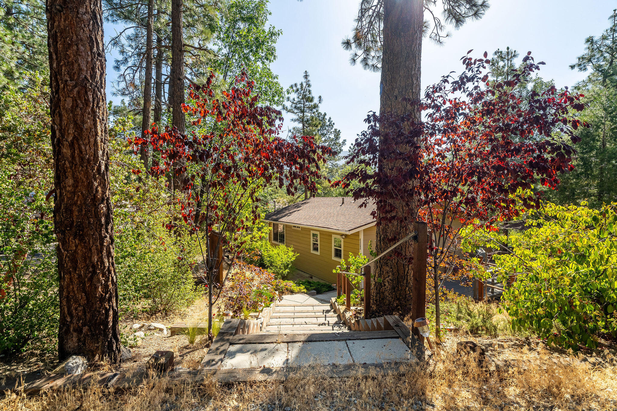 53545 Double View Drive Idyllwild, CA 92549 - Photo 3 of 44 53545DoubleViewDr-2