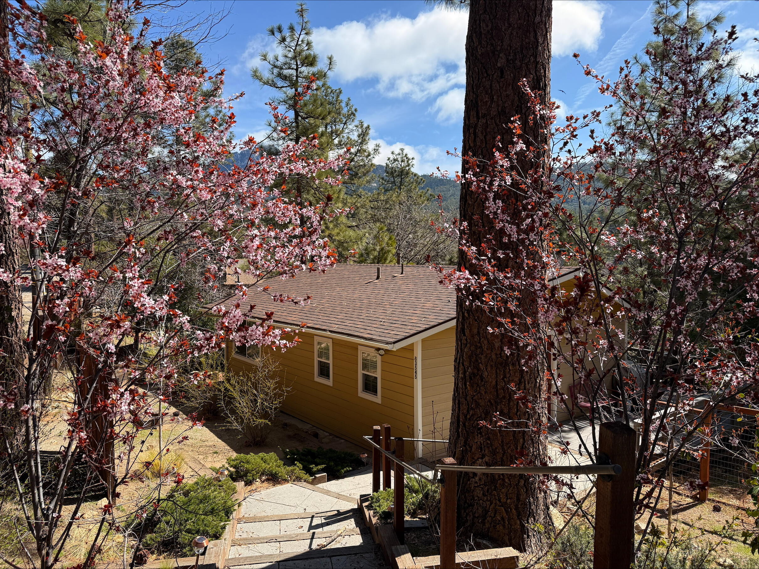 53545 Double View Drive Idyllwild, CA 92549 - Photo 44 of 44 processed-EFB02172-6BCA-4A37-88FC-DB98A0