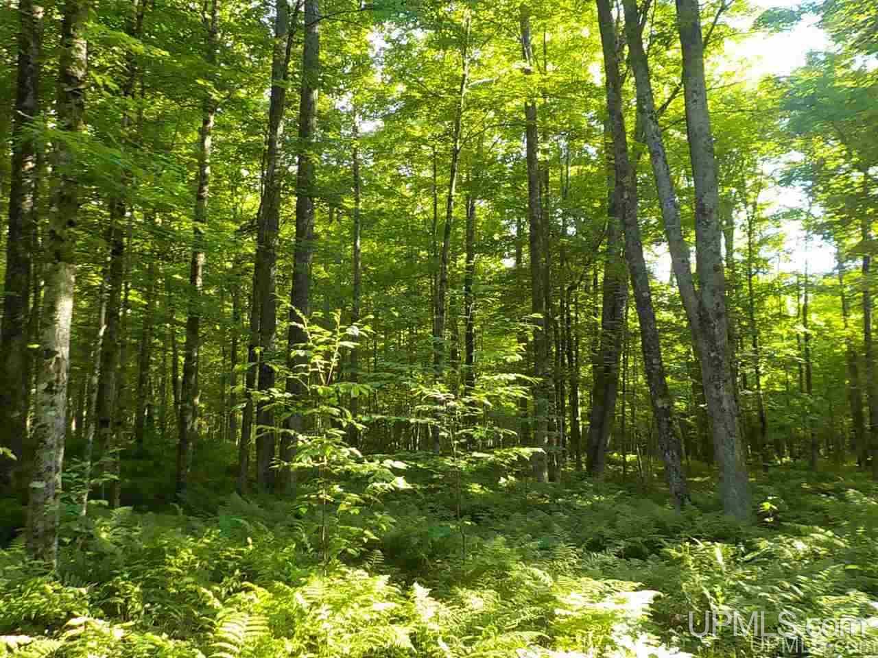 35-ac Sheltrow Road Crystal Falls, MI 49920 - Photo 21 of 23