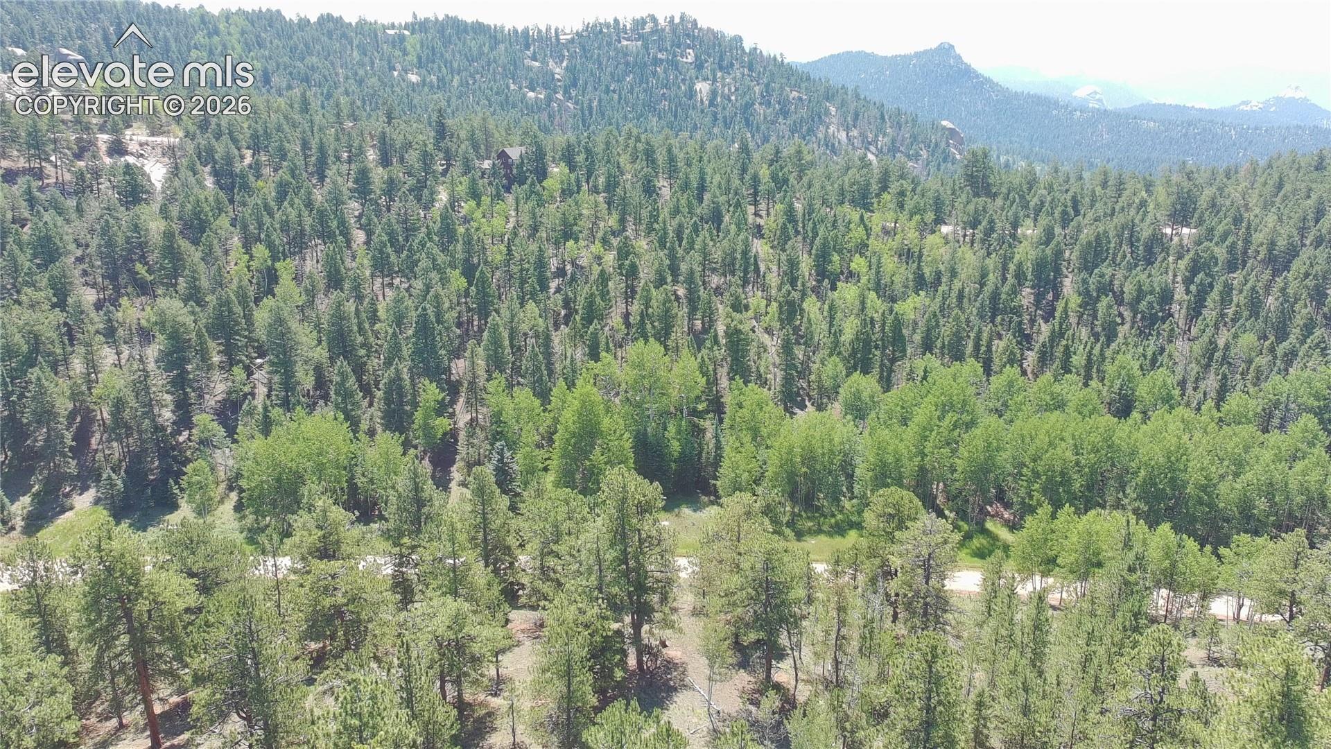 787 Spring Valley Lane Florissant, CO 80816 - Photo 16 of 21 Gallery Image 16