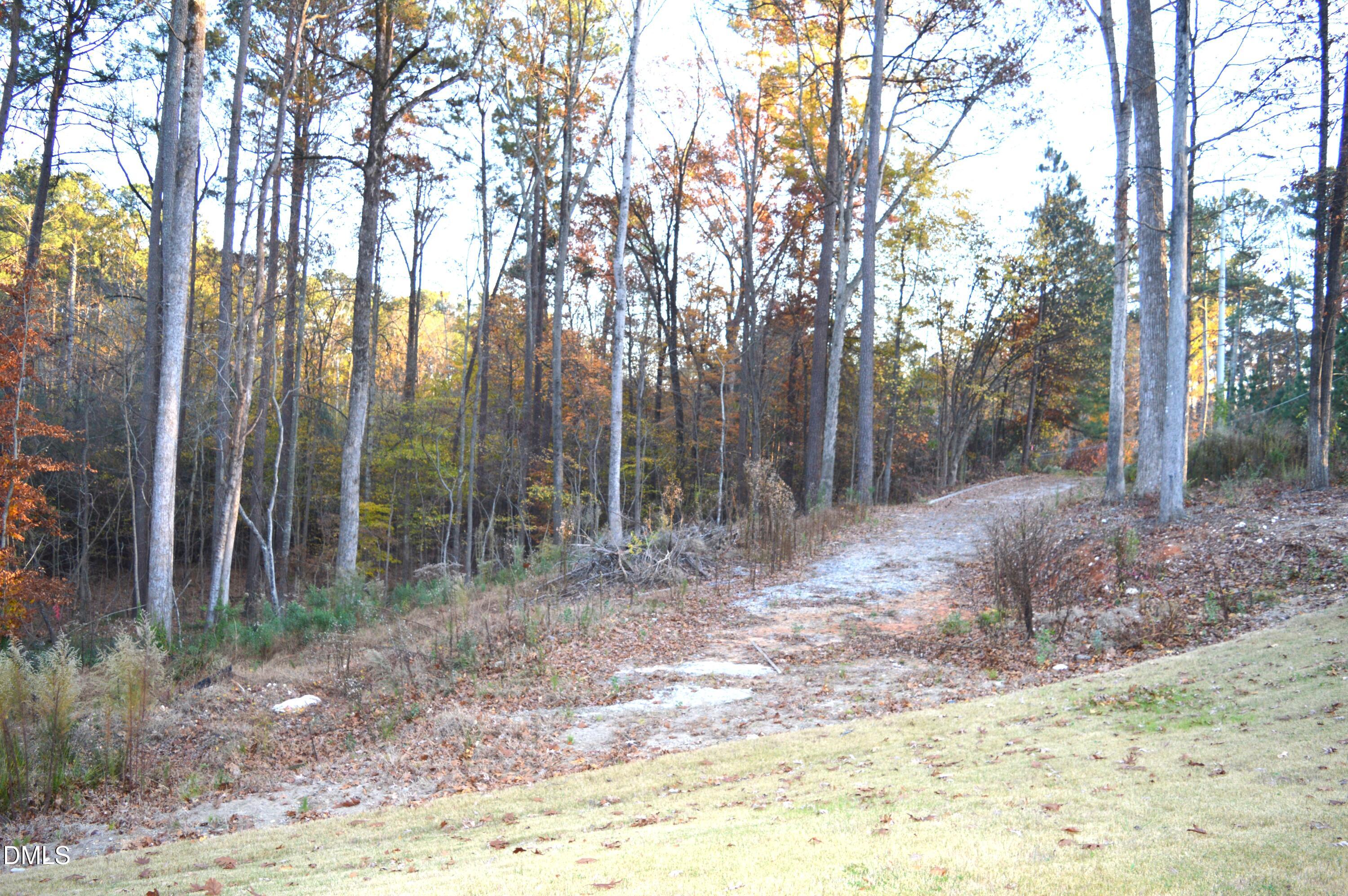 810 Southwest Maynard Road Cary, NC 27511 - Photo 2 of 6 a backyard of a house with lots of green space