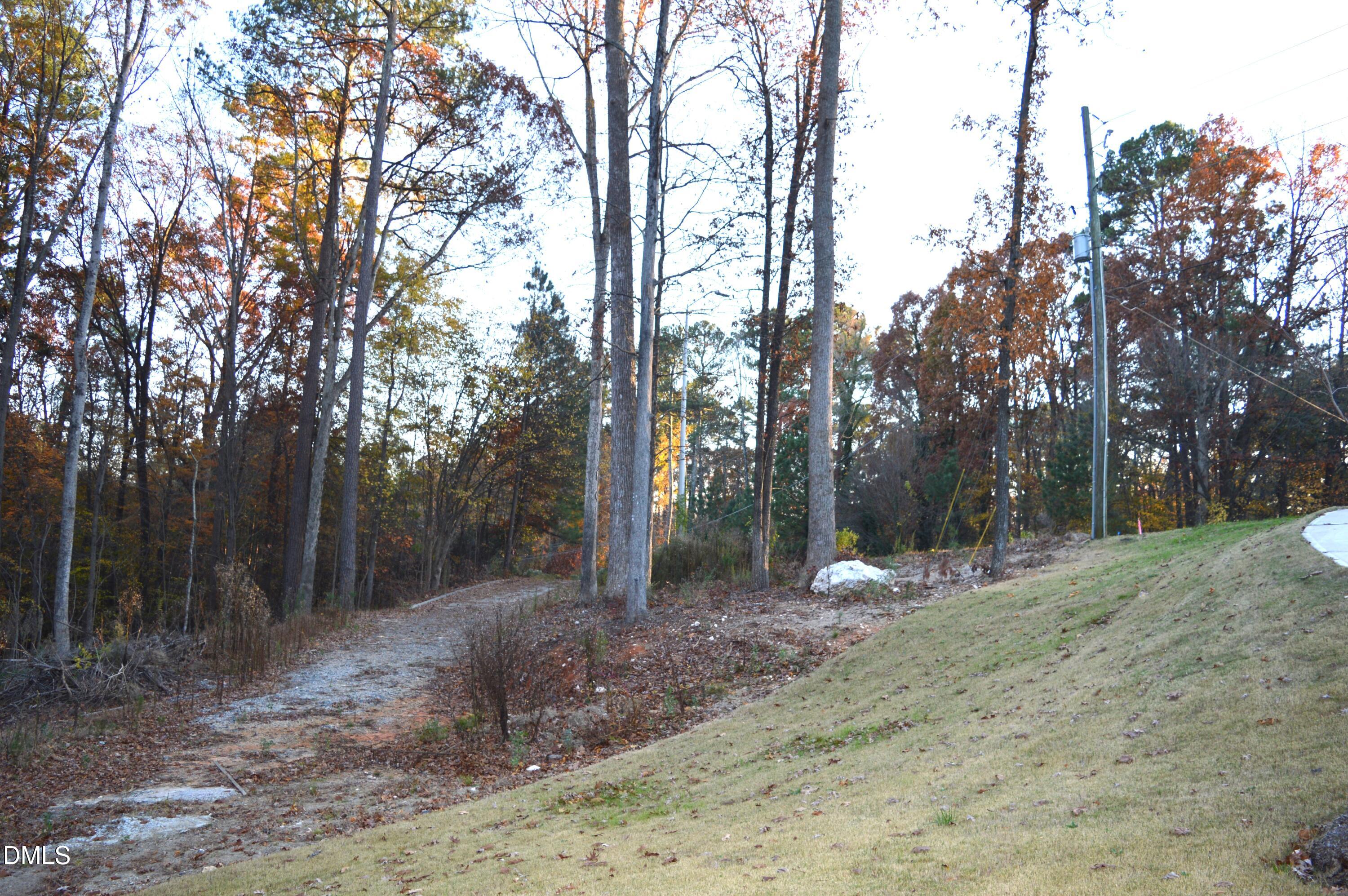 810 Southwest Maynard Road Cary, NC 27511 - Photo 3 of 6 a view of a forest filled with trees
