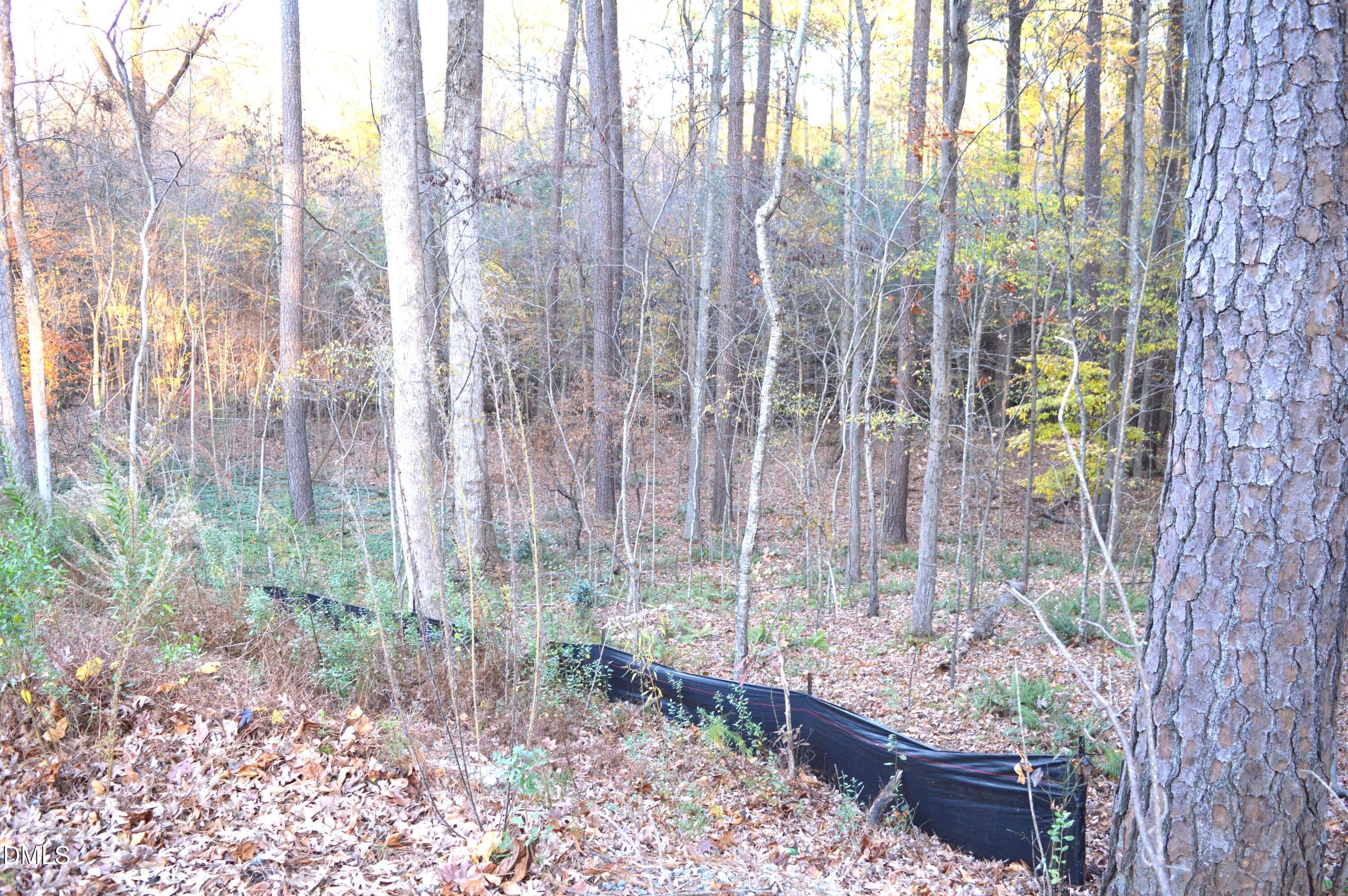 810 Southwest Maynard Road Cary, NC 27511 - Photo 4 of 6 a garden view with a backyard space