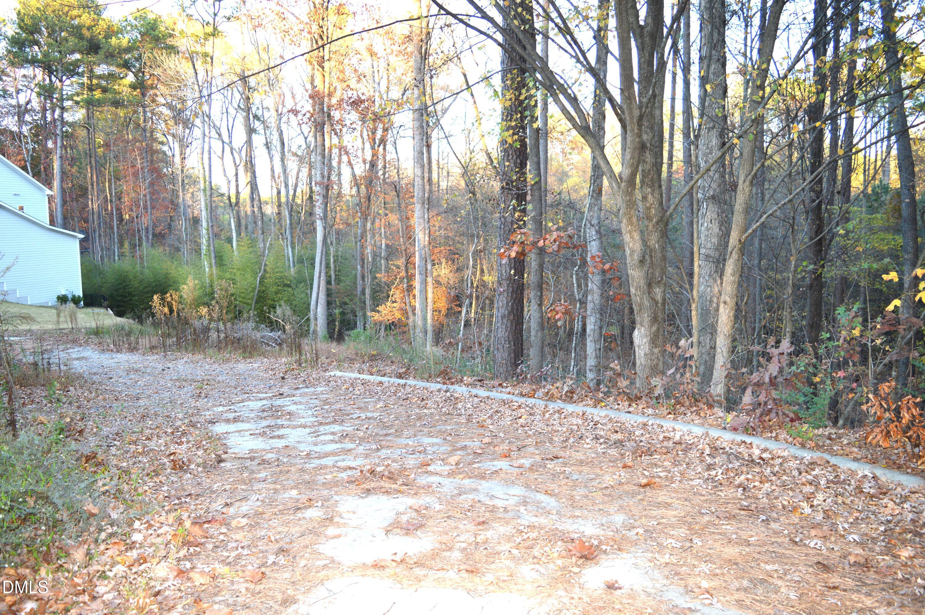 810 Southwest Maynard Road Cary, NC 27511 - Photo 5 of 6 a backyard of a house with lots of green space