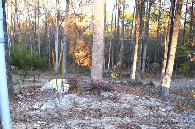 a view of a backyard with green space