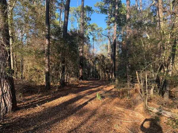 a view of a backyard of the house