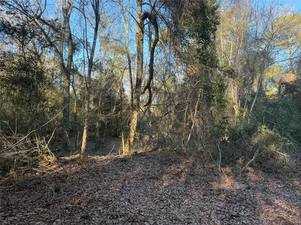 a view of a yard with trees