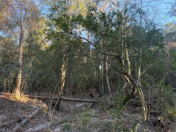 a backyard of a house with lots of trees