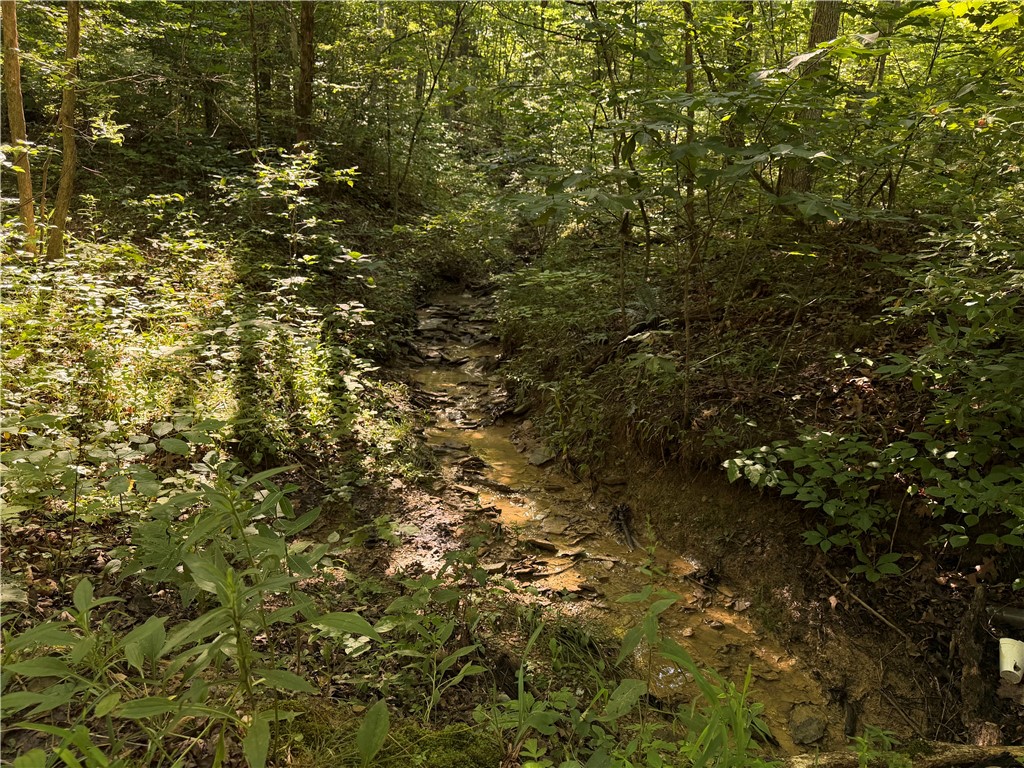 1897 Chestnut Ridge Road West Union, OH 45693 - Photo 43 of 61