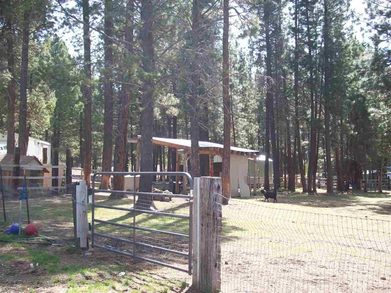 42342 Outpost Road Chiloquin, OR 97624 - Photo 11 of 22 Additional Photo
