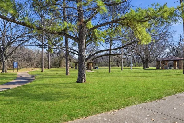 a view of a park with large trees