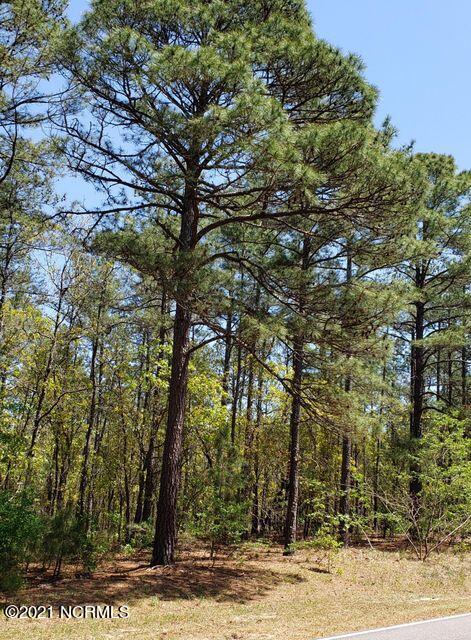 3 Peach Orchard Road Wagram, NC 28396 - Photo 1 of 3 Golf course frontage