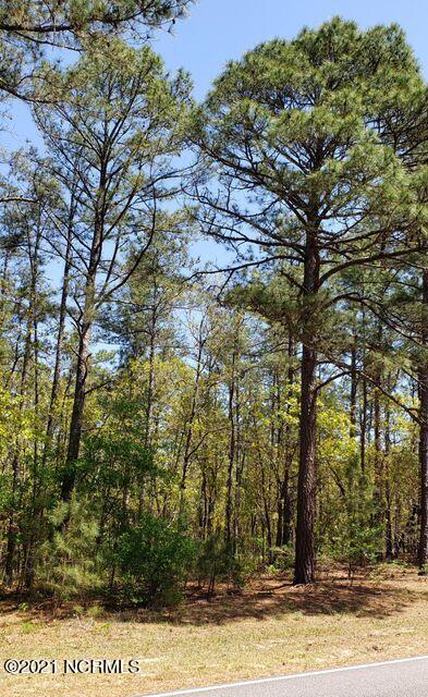 3 Peach Orchard Road Wagram, NC 28396 - Photo 2 of 3 photo 2