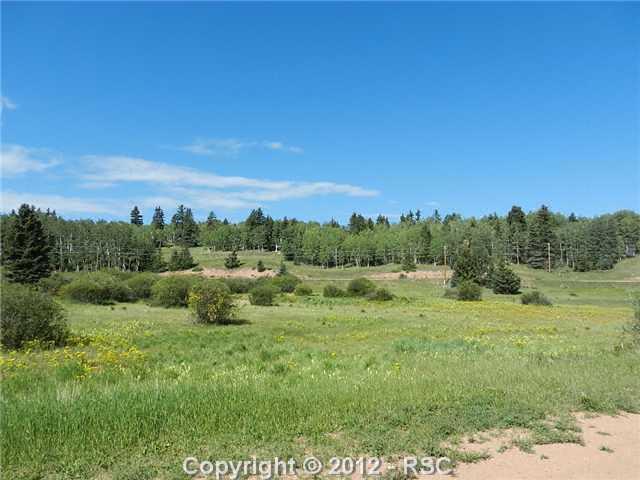 427 South Divide Rd Divide Divide, CO 80814 - Photo 4 of 5