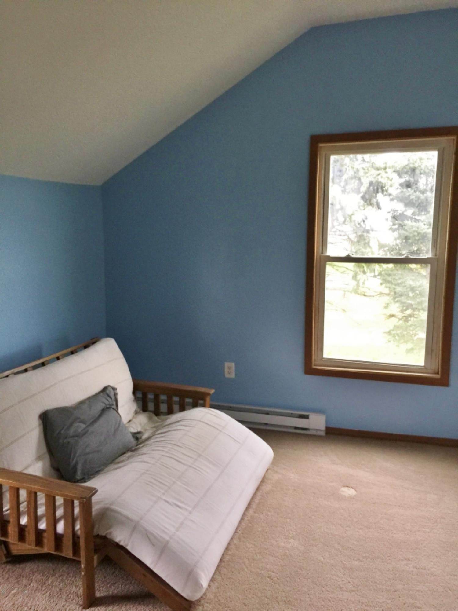 3097 Hartman Road Sodus, MI 49126 - Photo 24 of 28 29