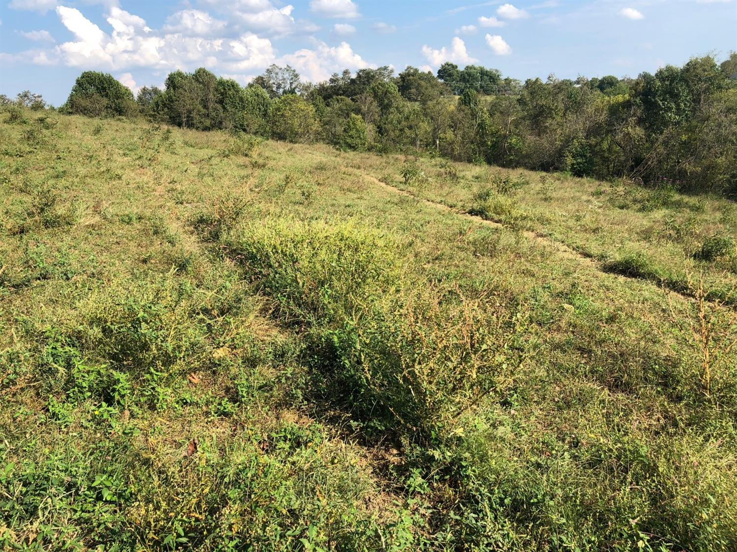 2000 Poosey Ridge Road Richmond, KY 40475 - Photo 24 of 51 Photo 30