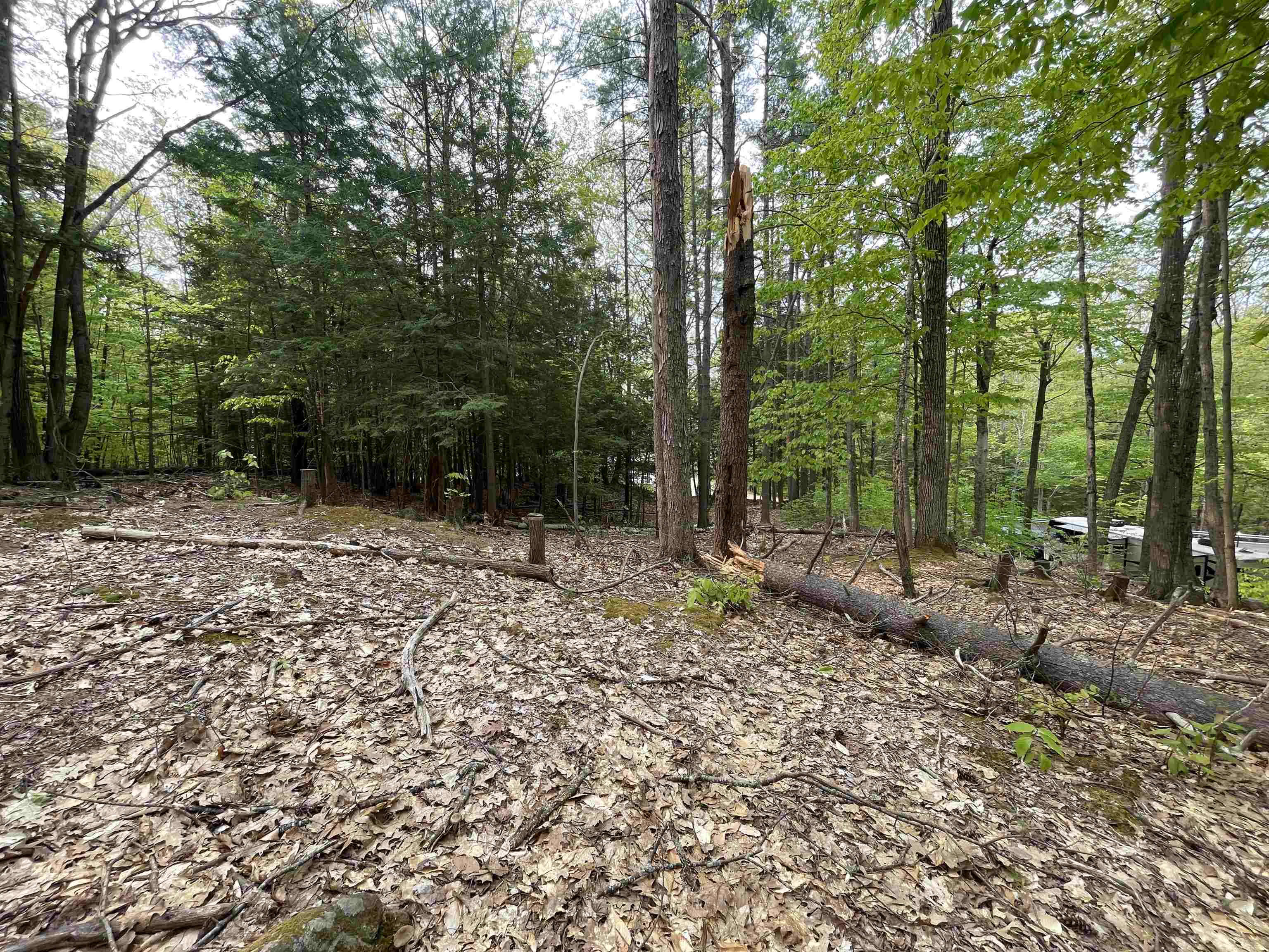 49 Durrell Mountain Road Belmont, NH 03220 - Photo 5 of 14