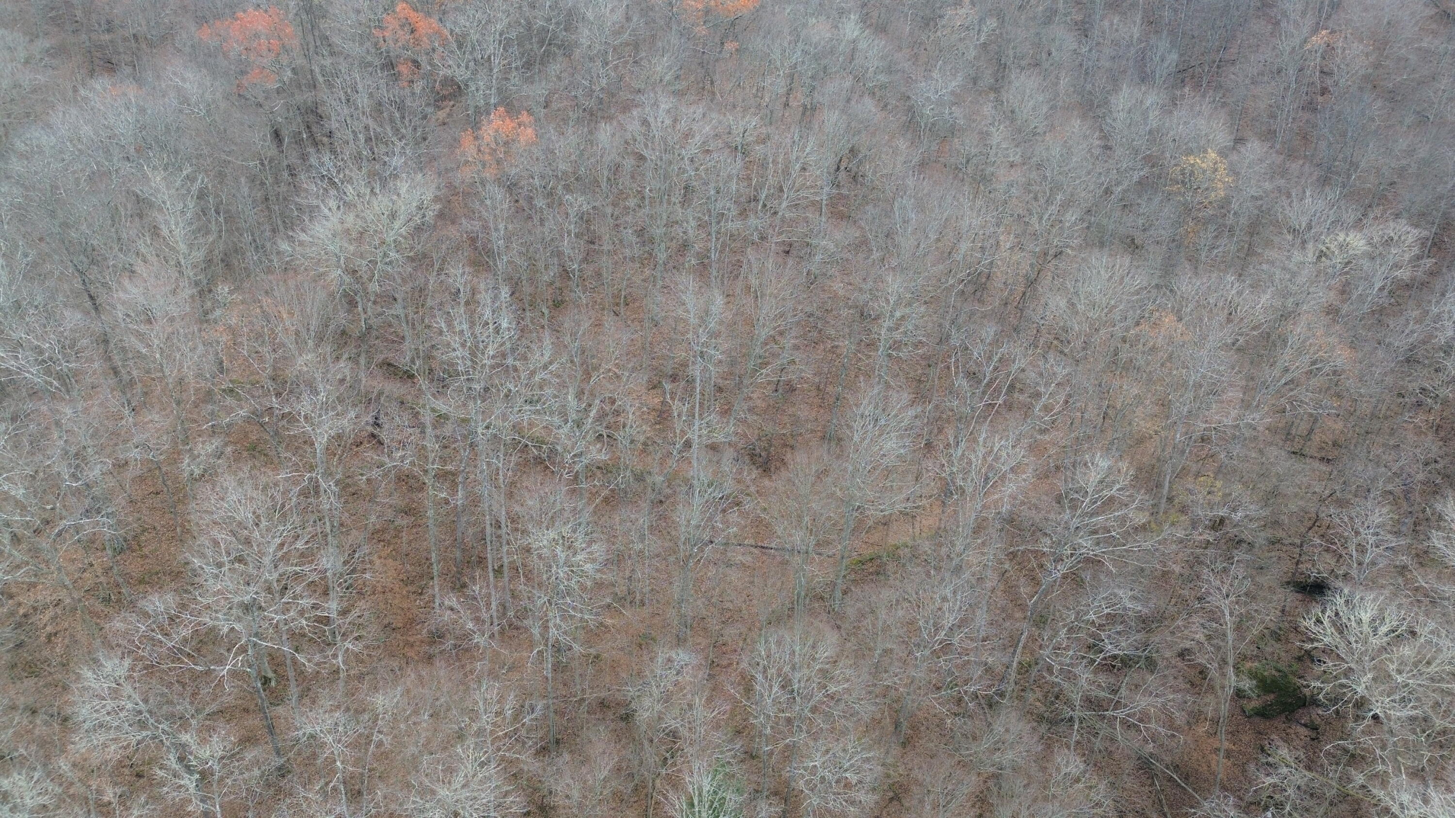 9999 Little Wildcat Creek Road Manchester, KY 40962 - Photo 14 of 18 LWCC