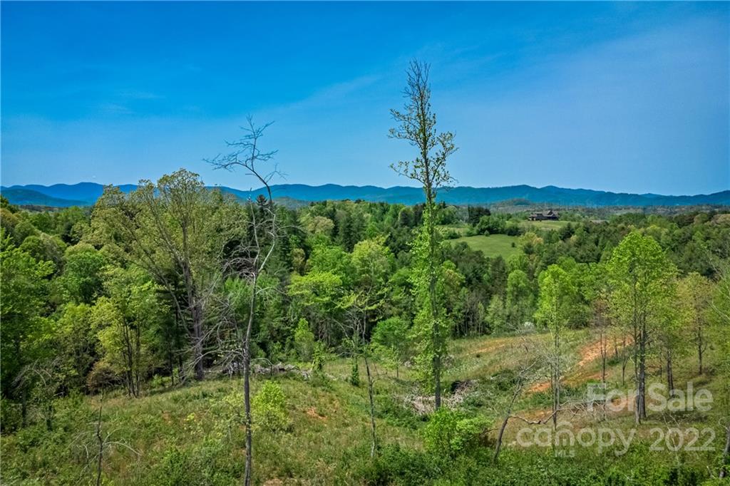 99999 Alexander Road Leicester, NC 28748 - Photo 11 of 14 Gallery Image 11