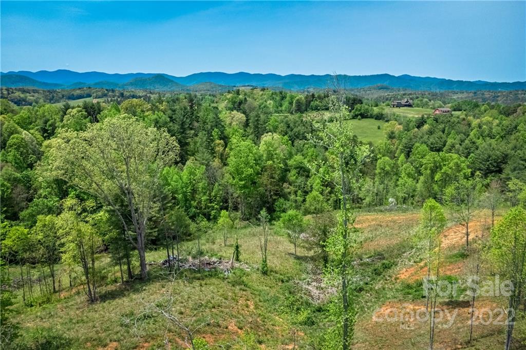99999 Alexander Road Leicester, NC 28748 - Photo 12 of 14 Gallery Image 12