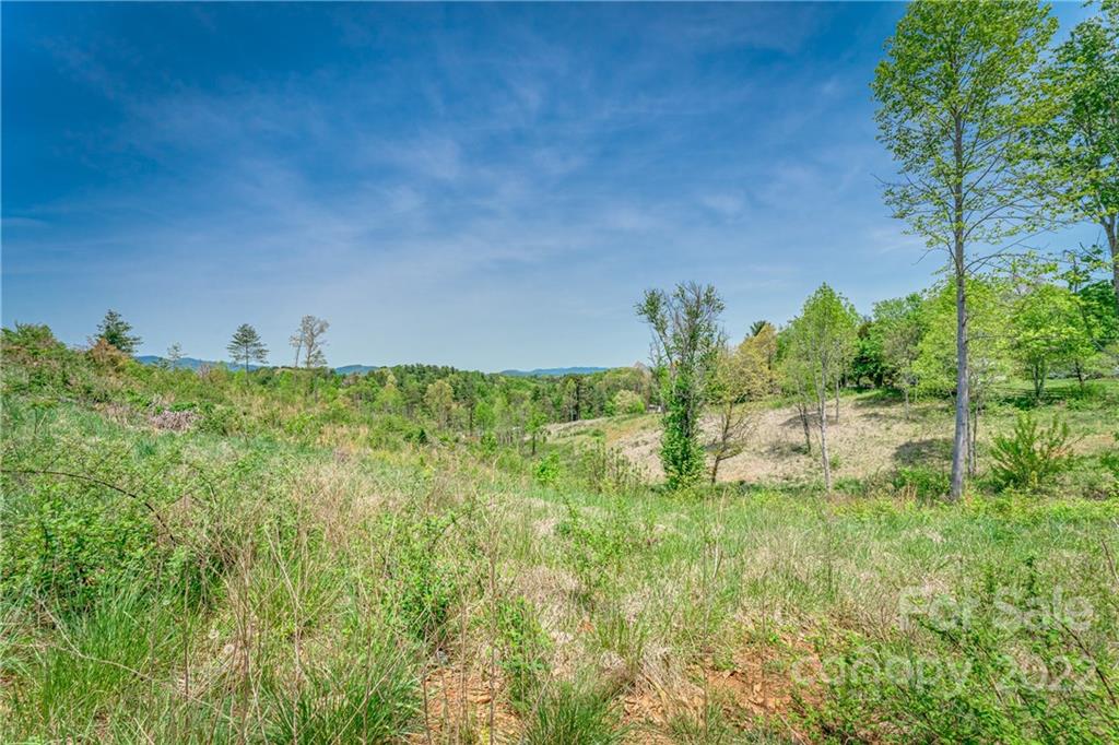 99999 Alexander Road Leicester, NC 28748 - Photo 2 of 14 Gallery Image 2