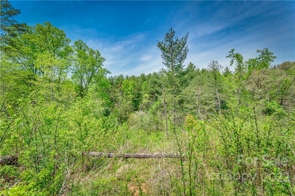 99999 Alexander Road Leicester, NC 28748 - Photo 3 of 14 Gallery Image 3
