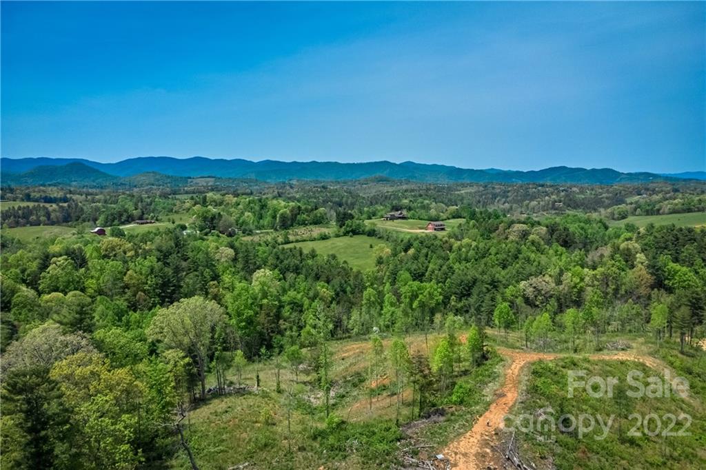 99999 Alexander Road Leicester, NC 28748 - Photo 6 of 14 Gallery Image 6