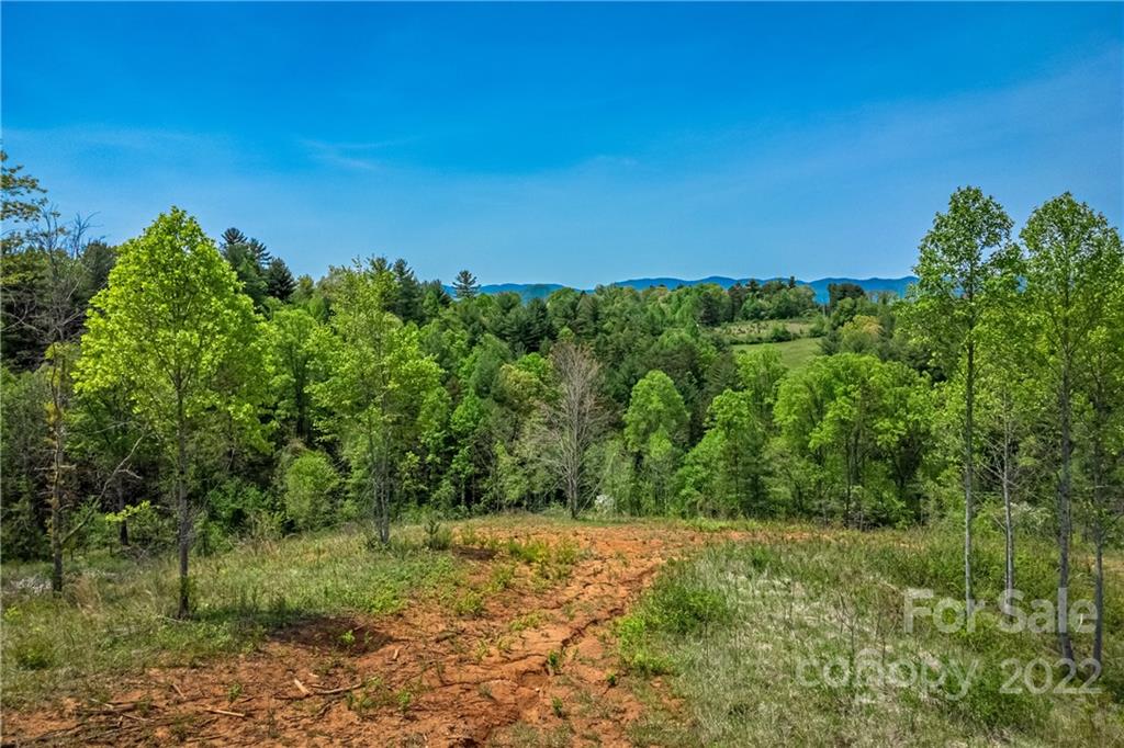 99999 Alexander Road Leicester, NC 28748 - Photo 7 of 14 Gallery Image 7