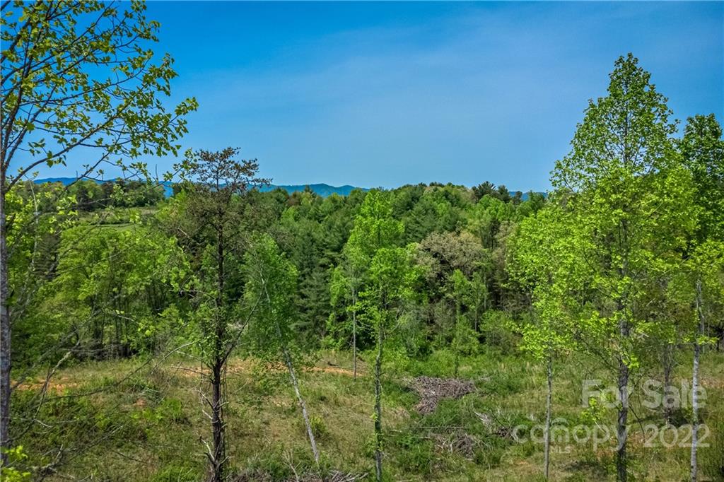99999 Alexander Road Leicester, NC 28748 - Photo 8 of 14 Gallery Image 8