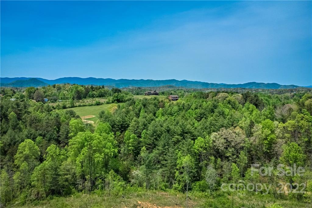 99999 Alexander Road Leicester, NC 28748 - Photo 9 of 14 Gallery Image 9