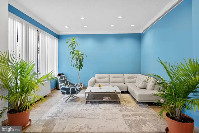 a living room with furniture and a potted plant