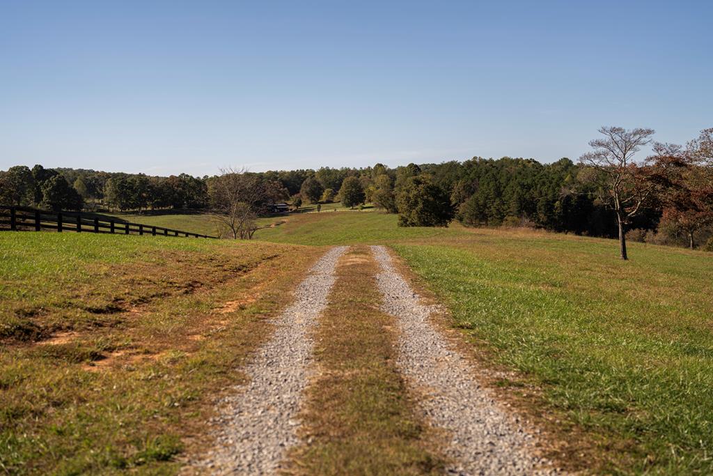 198 Tipton Springs Road Morganton, GA 30560 - Photo 23 of 72 Gallery Image 23