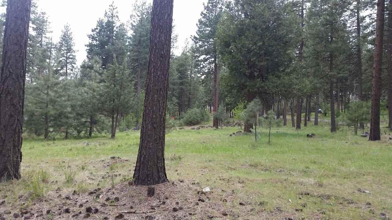 17208 Freight Rd Lane Keno, OR 97601 - Photo 2 of 8 Additional Photo