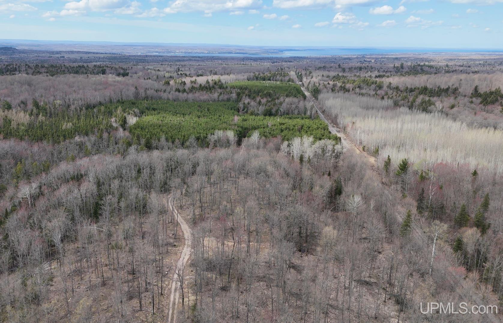 Tbdne Dog Patch Road Lanse, MI 49946 - Photo 8 of 23