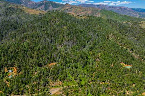 a view of a lush green forest with houses