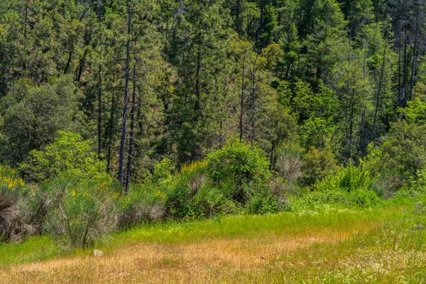 a view of a lake with a yard