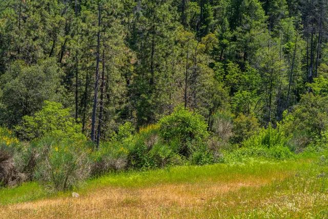 a view of a lake with a yard