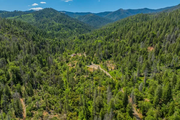 a view of a lush green forest with a mountain