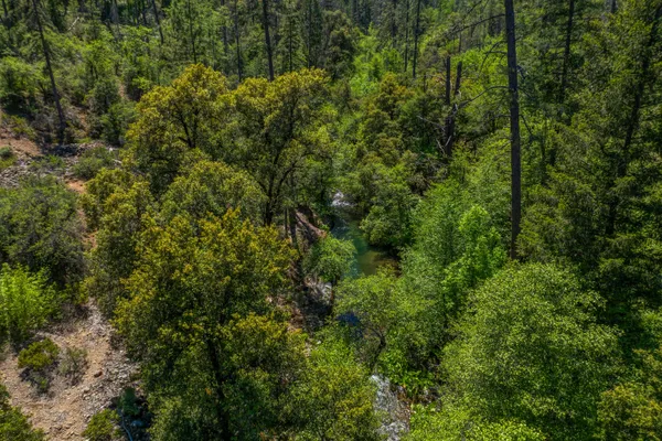 a view of a lots of trees and bushes