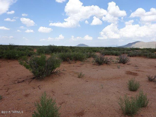 00 East Buck Ranch Road Pearce, AZ 85625 - Photo 3 of 7