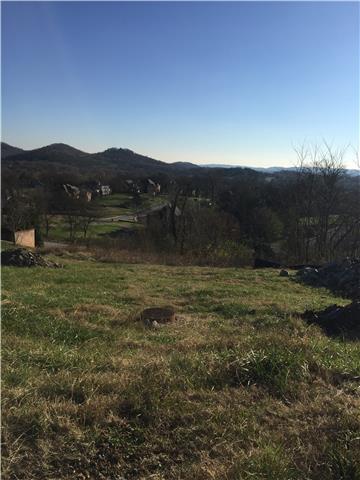 505 Legends Ridge Court Franklin, TN 37069 - Photo 5 of 10 a view of a lake with mountains in the background