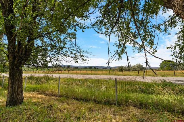 a front view of a house with a yard and large trees