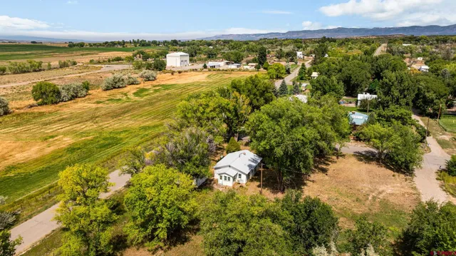 a view of a large yard with lots of green space
