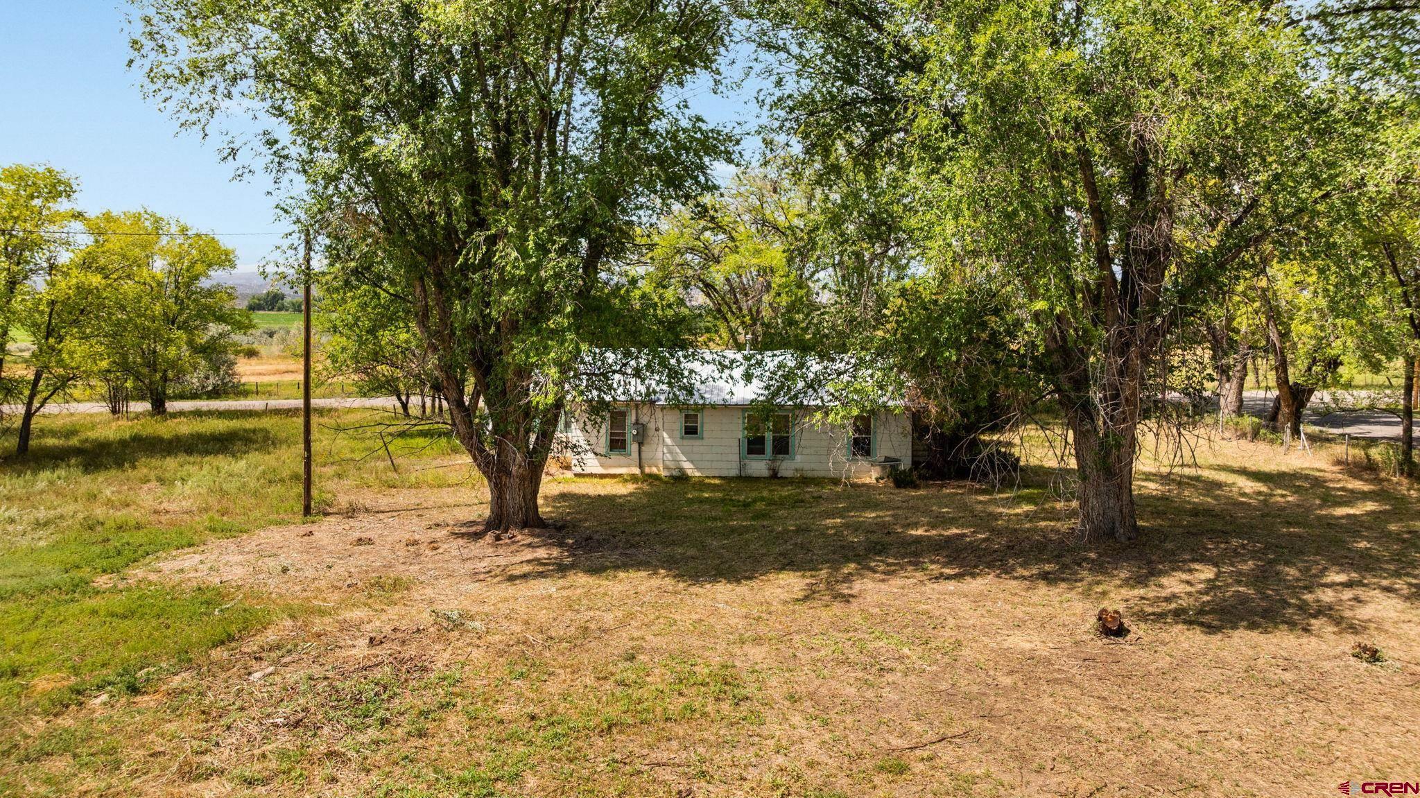 640 West 7th Avenue Nucla, CO 81424 - Photo 25 of 27 a view of a yard with a tree