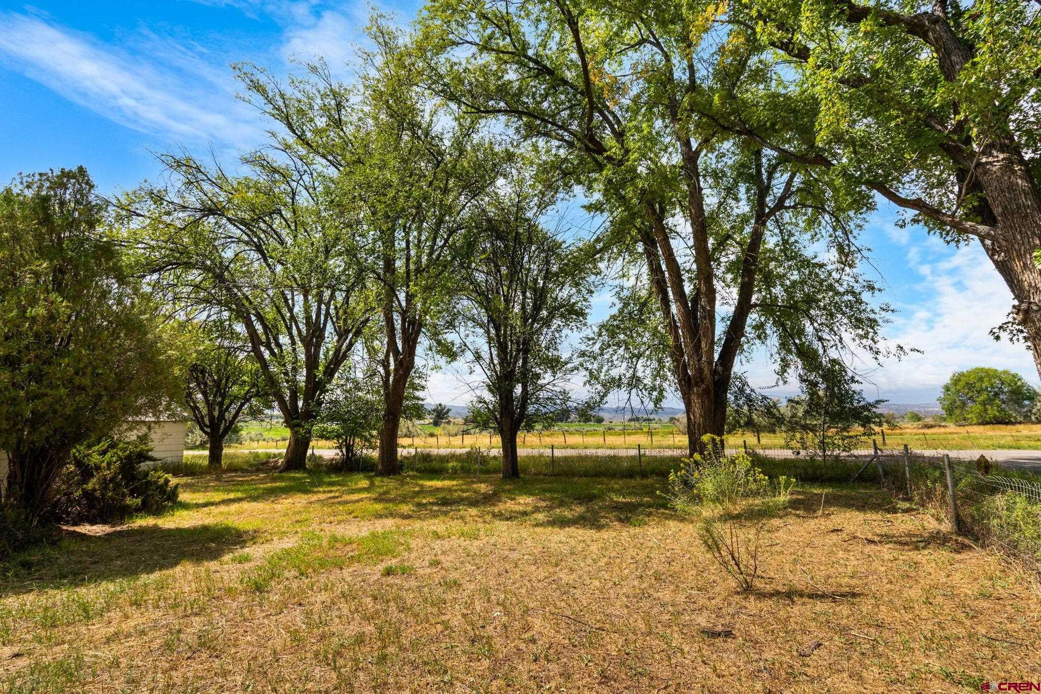 640 West 7th Avenue Nucla, CO 81424 - Photo 5 of 27