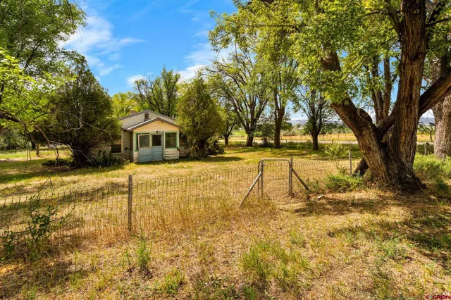 a view of a yard with a tree