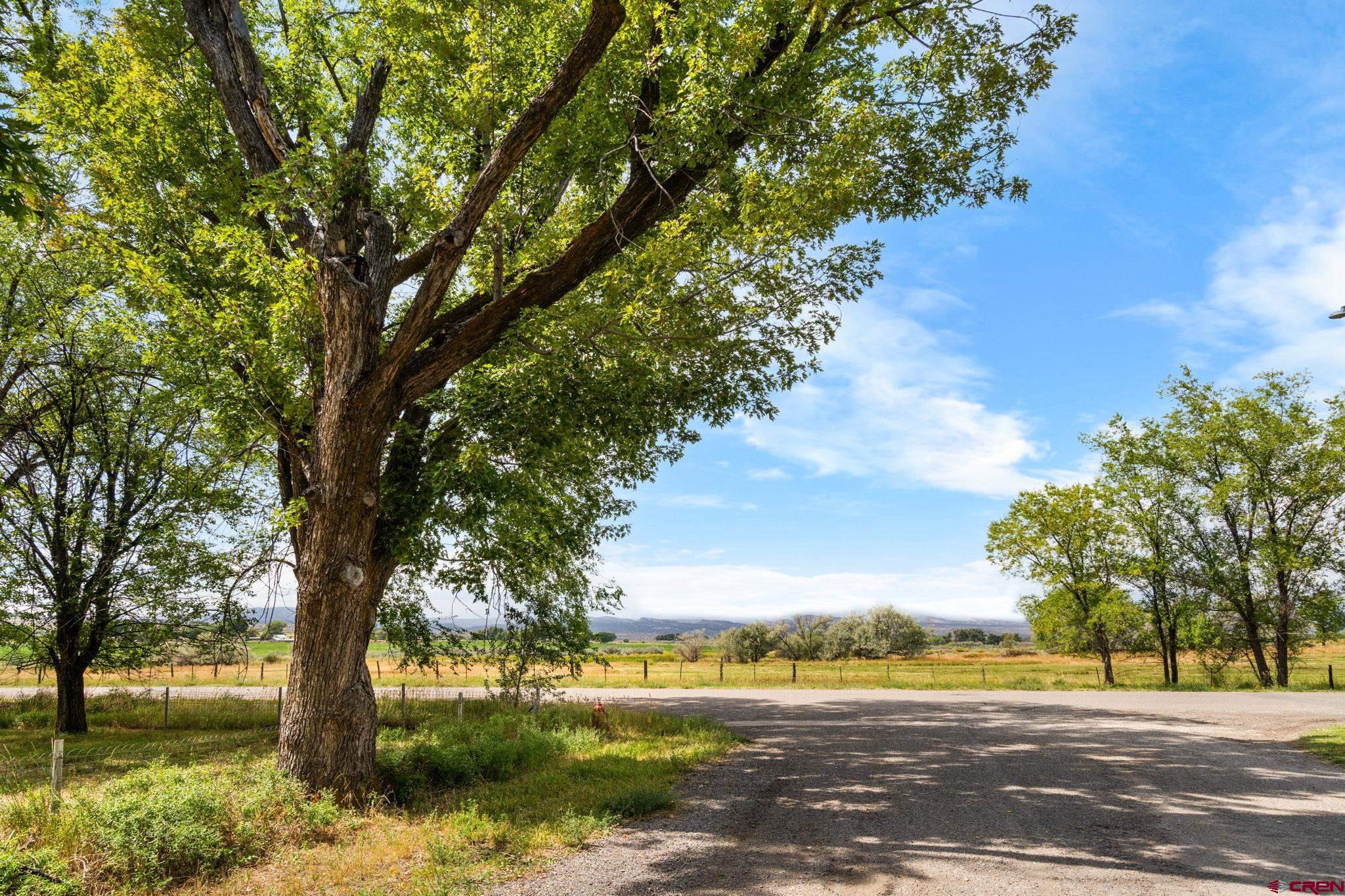 640 West 7th Avenue Nucla, CO 81424 - Photo 7 of 27