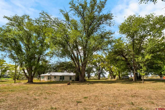 a view of a yard with a tree