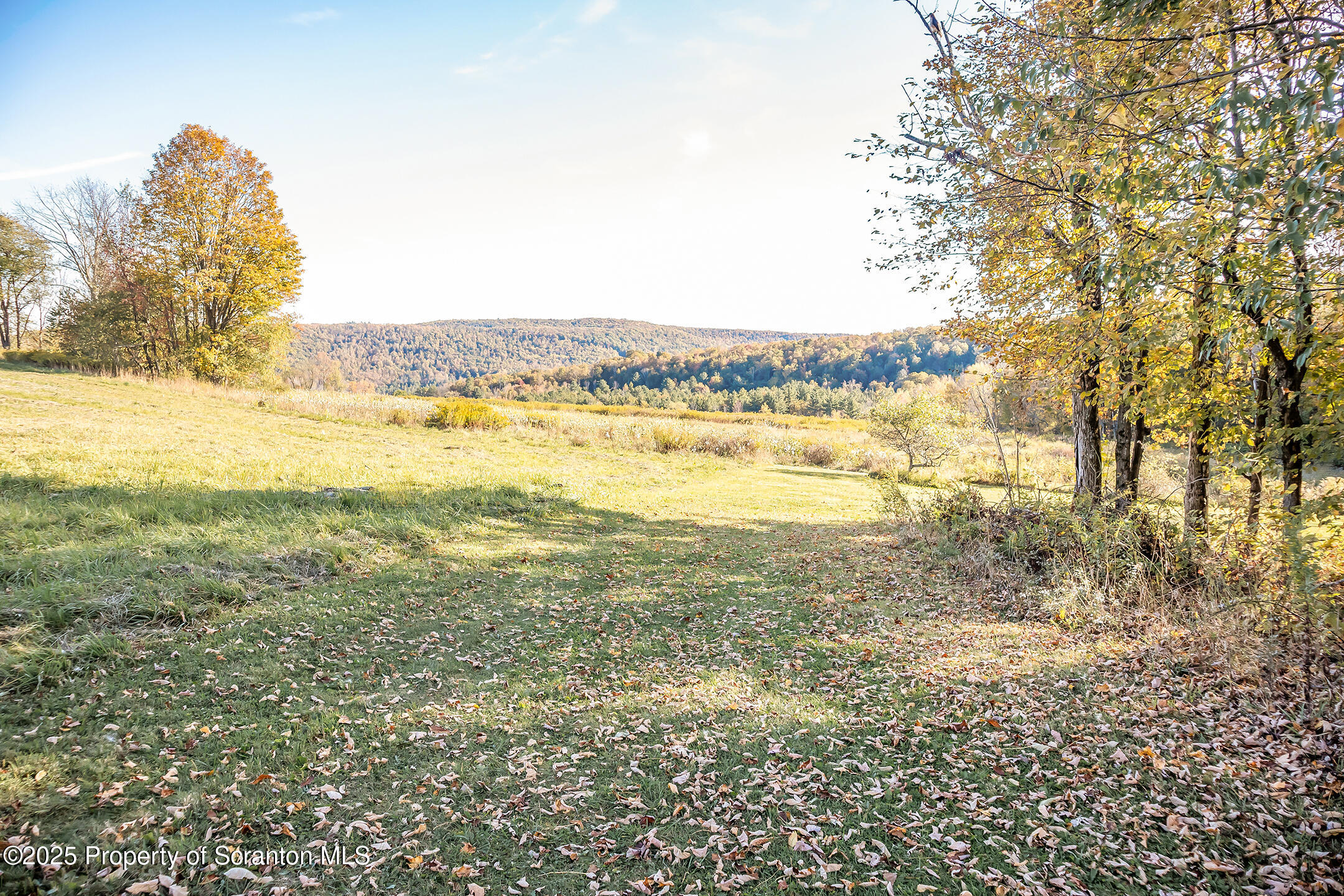 1098 Lyons Road Hallstead, PA 18822 - Photo 4 of 31 IMG_4800