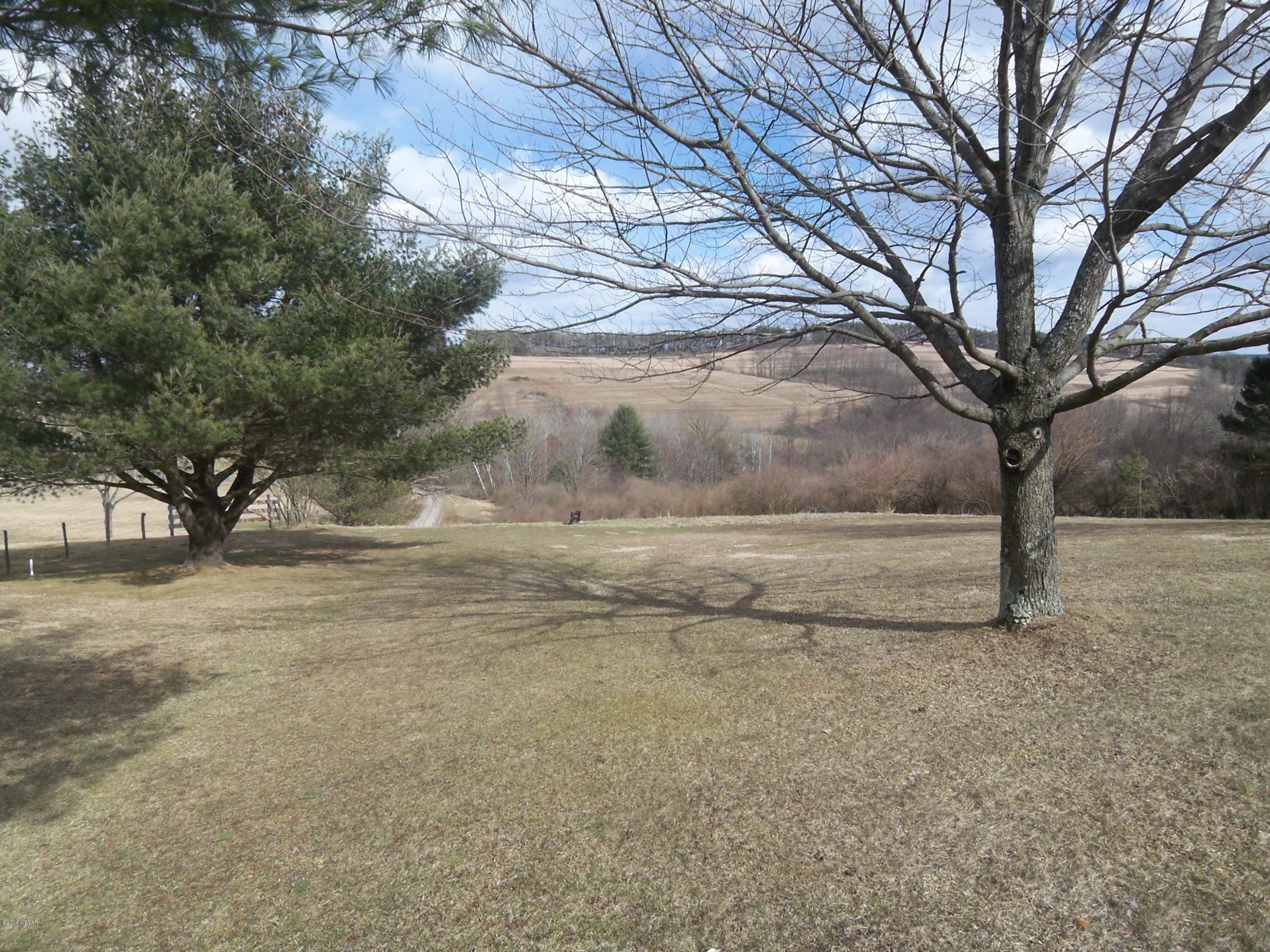 807 Flook Road Jersey Shore, PA 17740 - Photo 3 of 39 025